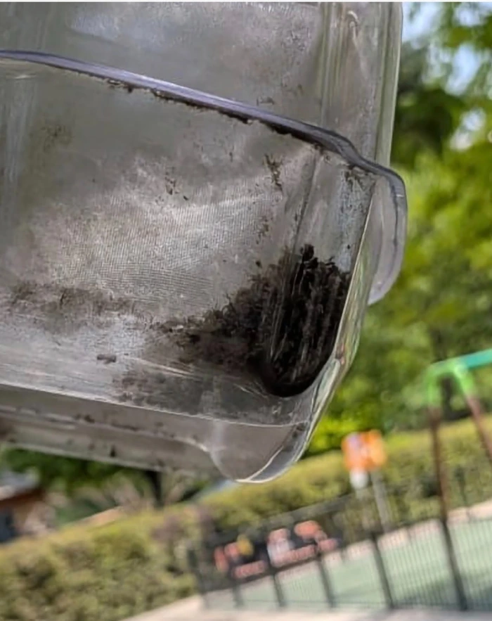 Mosquito Magnet en action